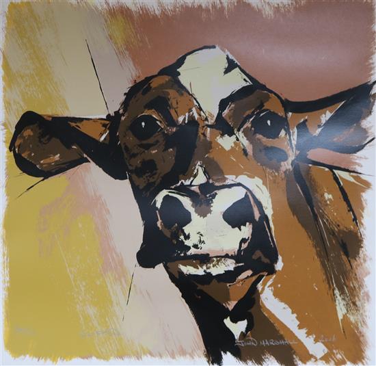 John Marshall, two limited edition prints of cattle, signed 78 x 79cm